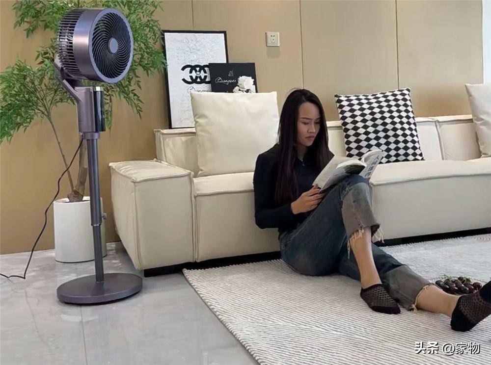 不是一个风扇种类这么多该选哪种？我发现这些优缺点太重要了(图6)