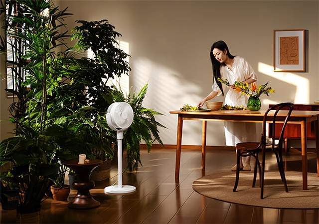 米家空气循环扇特惠；LG2024OLEDB4系列电视发布