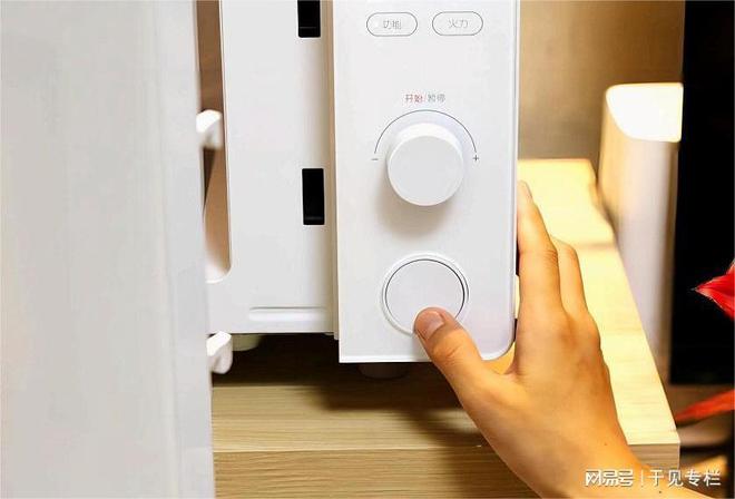 价格战后再无波澜2024年微波炉借“菜”消愁(图2)