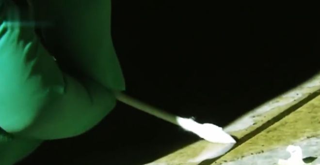 一家4口一夜之间死亡3人调查期间警察差点中招都因电风扇?(图15)