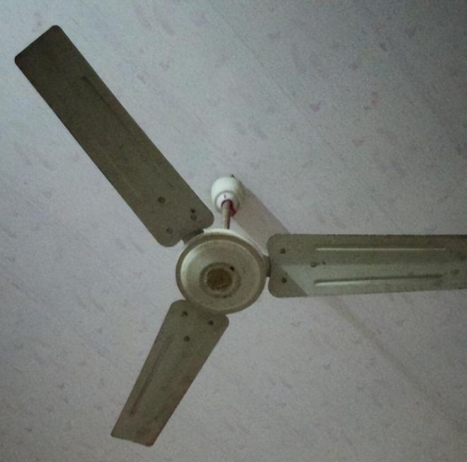 一家4口一夜之间死亡3人调查期间警察差点中招都因电风扇?(图17)