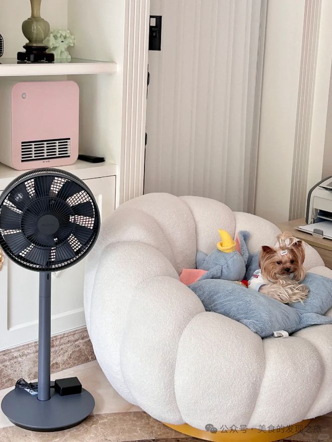 什么牌的电风扇质量好？这5款电风扇让你夏日无忧(图3)