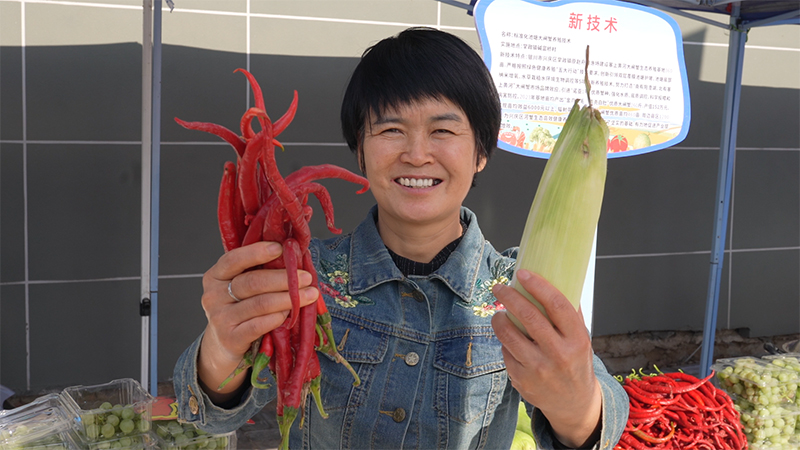 PG电子平台tection(图2)