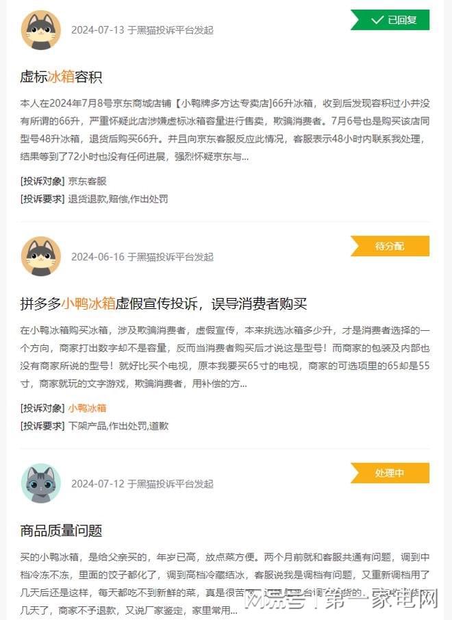 PG电子网站小鸭集团两款电冰箱抽查不合格复检仍不合格(图2)