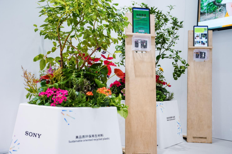 索尼携多元创新成果亮相2024中国国际进口博览会(图16)