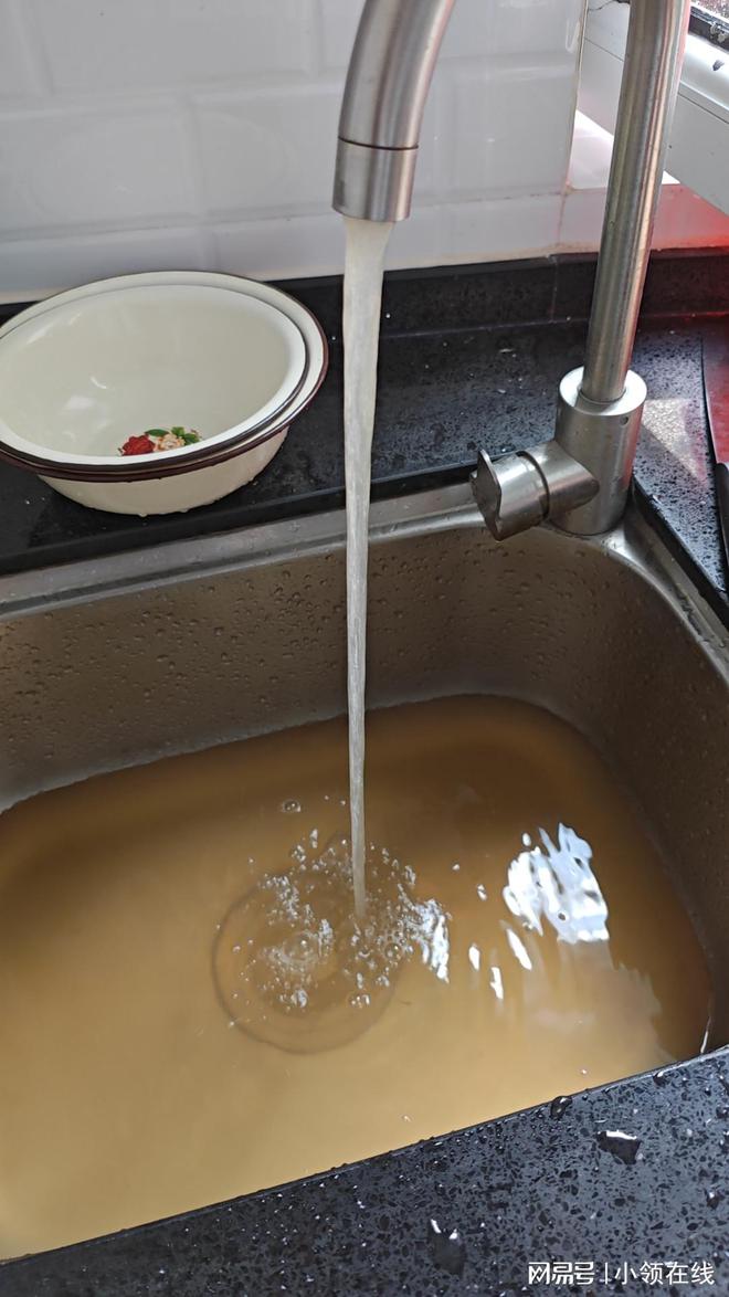 2024前置过滤器性能大对决：4款主流品牌究竟谁能赢？