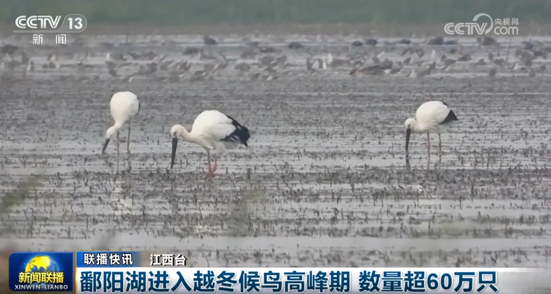 改善、扩大、增强……透过“关键字”看中国经济韧性高质量发展步履铿锵(图13)