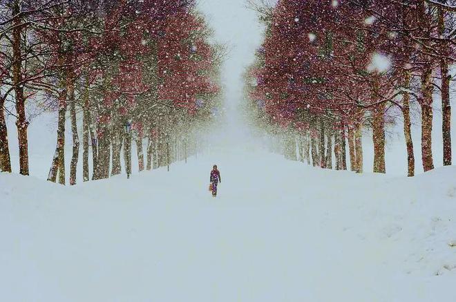 PG电子平台超两千万人申请补贴！热抢之后备好寒衣