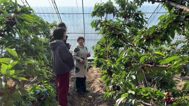 农技下乡为农户稳产增收保驾护航(图1)