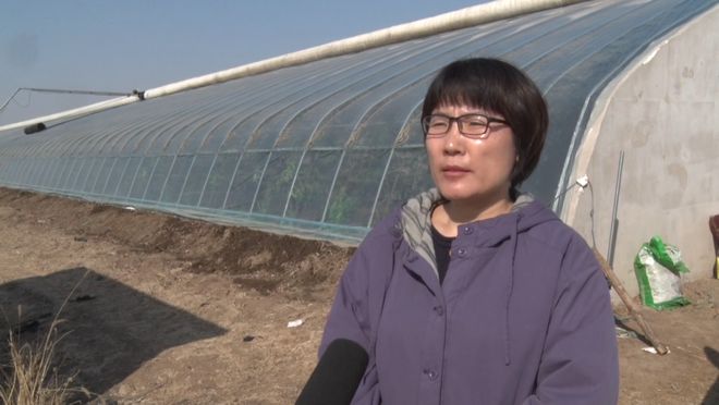 农技下乡为农户稳产增收保驾护航(图6)