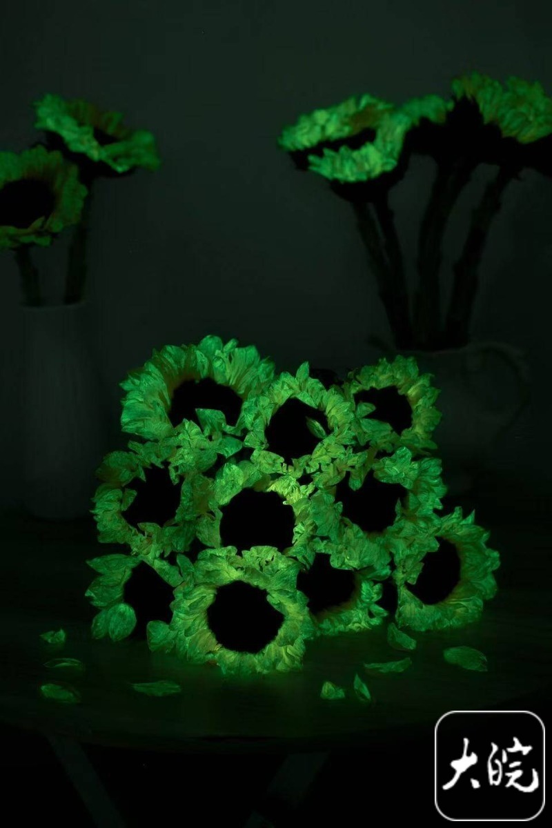 “合肥造”自发光植物已量产萤光向日葵一周销量突破一万株(图2)