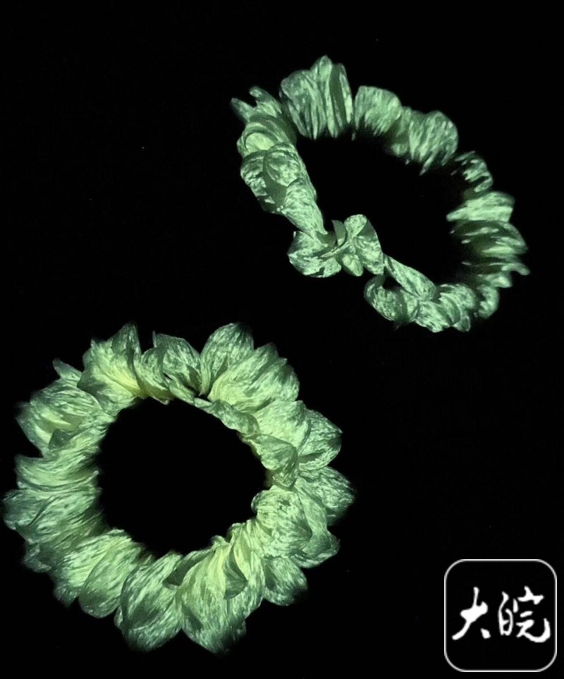 “合肥造”自发光植物已量产萤光向日葵一周销量突破一万株