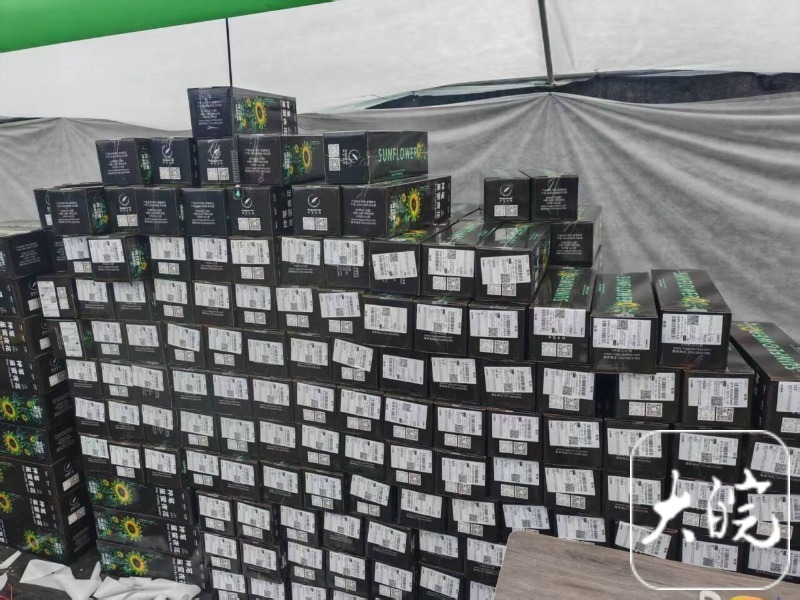 “合肥造”自发光植物已量产萤光向日葵一周销量突破一万株(图3)