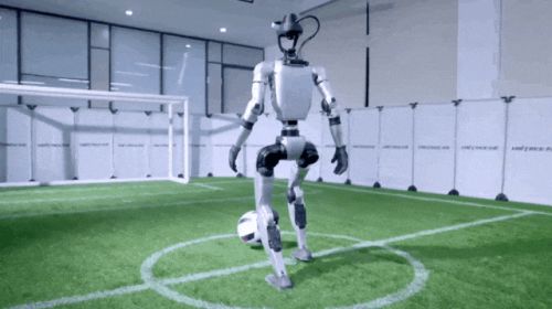 王兴兴：斗狗(图4)