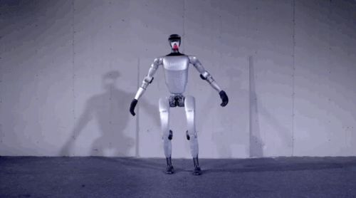 王兴兴：斗狗(图5)