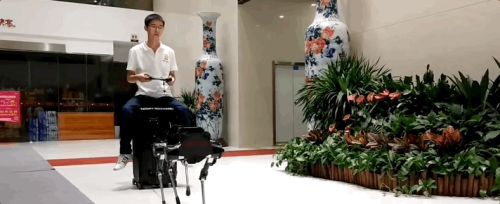 王兴兴：斗狗(图17)