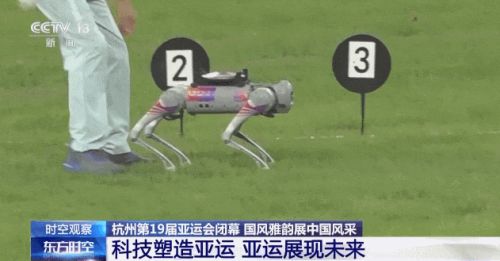 王兴兴：斗狗(图21)