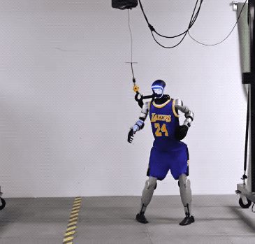 王兴兴：斗狗(图29)