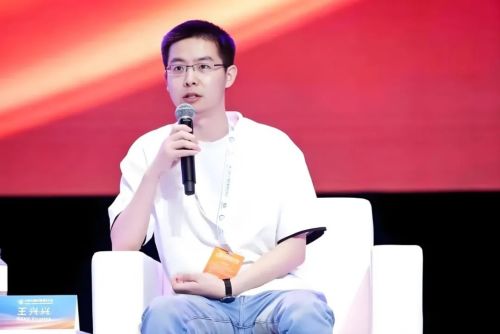 王兴兴：斗狗(图34)