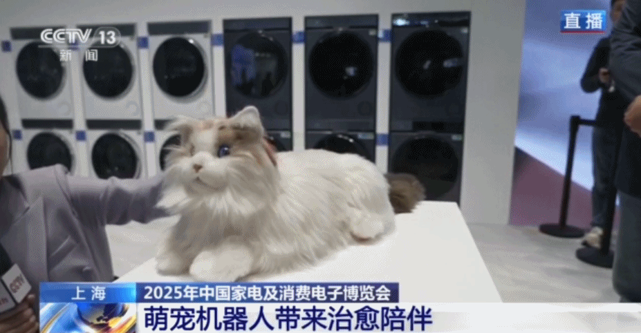 机器小猫超可爱！机器人进军“家电圈”带来生活新体验(图5)