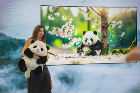 全球首次亮相！长虹熊猫主题家电在IFA展上惊艳外国友人(图2)