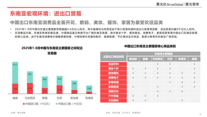 PG平台东南亚科技消费趋势及中国企业出海洞察(图2)