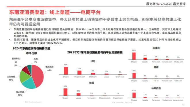 PG平台东南亚科技消费趋势及中国企业出海洞察(图8)