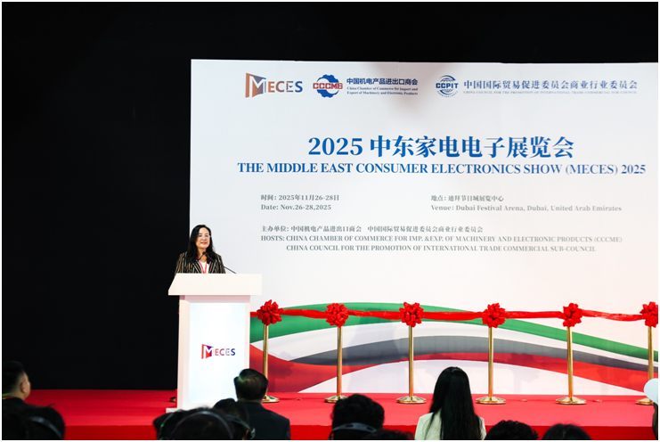 2025中东家电电子展在迪拜举行(图2)