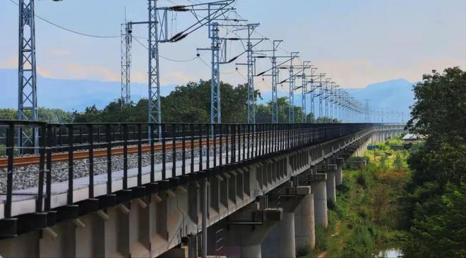 PG电子网站海南封关引爆全网！新加坡中转降11%中国改写全球贸易格局(图15)