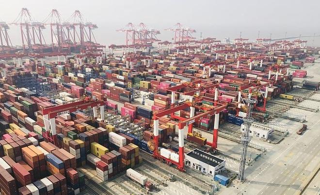 PG电子网站海南封关引爆全网！新加坡中转降11%中国改写全球贸易格局(图23)