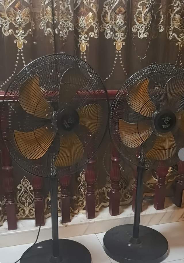 有消费者反映：在天猫钻石牌旗舰店网购的钻石牌电风扇起火爆燃(图2)